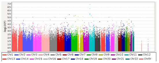 Manhattan Plot of the p values regarding to body mass index (BMI) in GWAS