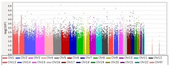 Manhattan Plot of the p values regarding to waist circumference in GWAS