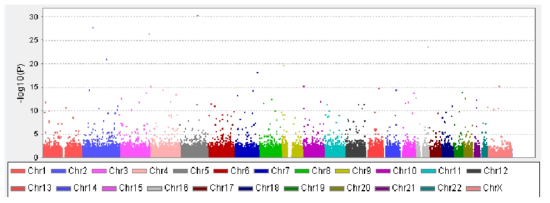 Manhattan Plot of the p values regarding to colorectal cancer in GWAS