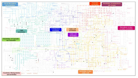 정상인과 허혈성 뇌졸중 risk 환자와의 Kyoto Encyclopedia of Genes and Genomes (KEGG) pathway mapping