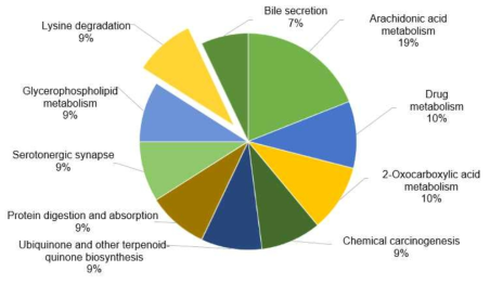 Top 10 pathways from Kyoto Encyclopedia of Genes and Genomes (KEGG)