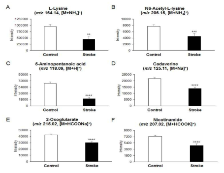 정상인과 허혈성 뇌졸중 risk 환자 간 Lysine catabolites의 intensity를 bar graph를 이용해 비교 (A) L-Lysine (m/z 164.14, [M+NH4]+, (B) N6-Acetyl-L-lysine (m/z 206.15, [M+NH4]+), (C) 5-Aminopentanoate (m/z 118.09, [M+H]+), (D) Cadaverine (m/z 125.11, [M+Na]+), (E) 2-Oxoglutarate (m/z 215.02, [M+HCOONa]+ and (F) Nicotinamide (m/z 207.02, [M+HCOOK]+)