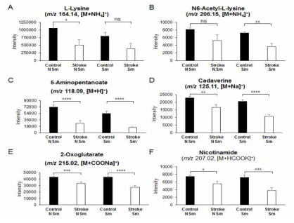 정상인과 허혈성 뇌졸중 risk 환자를 흡연 여부로 나누어 Lysine catabolites의 intensity를 bar graph를 이용해 비교 (A) L-Lysine (m/z 164.14, [M+NH4]+, (B) N6-Acetyl-L-lysine (m/z 206.15, [M+NH4]+), (C) 5-Aminopentanoate (m/z 118.09, [M+H]+), (D) Cadaverine (m/z 125.11, [M+Na]+), (E) 2-Oxoglutarate (m/z 215.02, [M+HCOONa]+ and (F) Nicotinamide (m/z 207.02, [M+HCOOK]+)