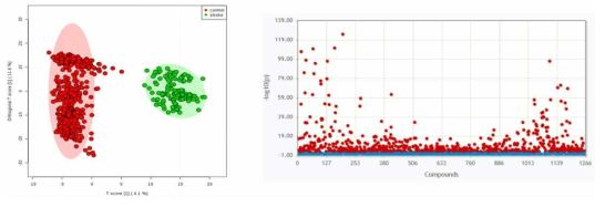 정상인과 뇌졸중 환자군 간 OPLS-DA score plot(좌)과 Manhattan plot(우)