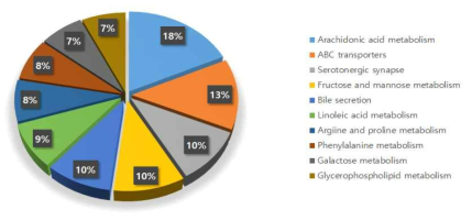 Top 10 pathway from Kyoto Encyclopedia of Genes and Genomes (KEGG)