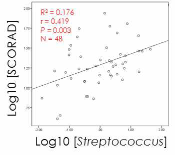 Streptococcus와 SCORAD 점수와의 상관관계
