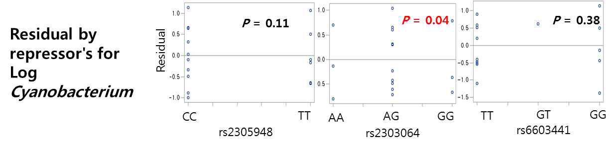 Cyanobacteria와 SNP 간의 Linear regression P-value분석