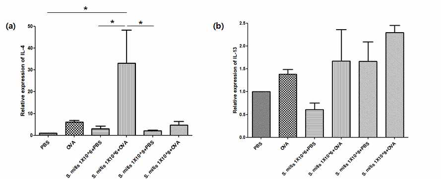 S.mitis 투여를 통한 피부 내 염증 사이토카인 발현량 비교