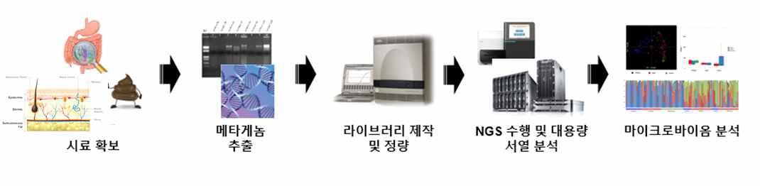 마이크로바이옴 분석방법