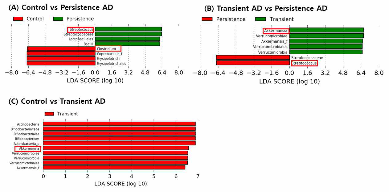 LefSe 분석을 이용한 두 그룹 사이의 장내 마이크로바이옴의 비교 A. 대조군과 지속군의 비교, B. 비지속군과 지속군의 비교 C. 대조군과 비지속군의 비교