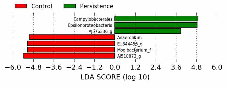 LefSe 분석을 이용한 두 그룹 사이의 장내 마이크로바이옴의 비교