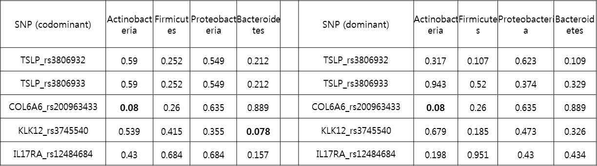 Phylum level의 마이크로바이옴의 SNP 유전자형에 따른 차이
