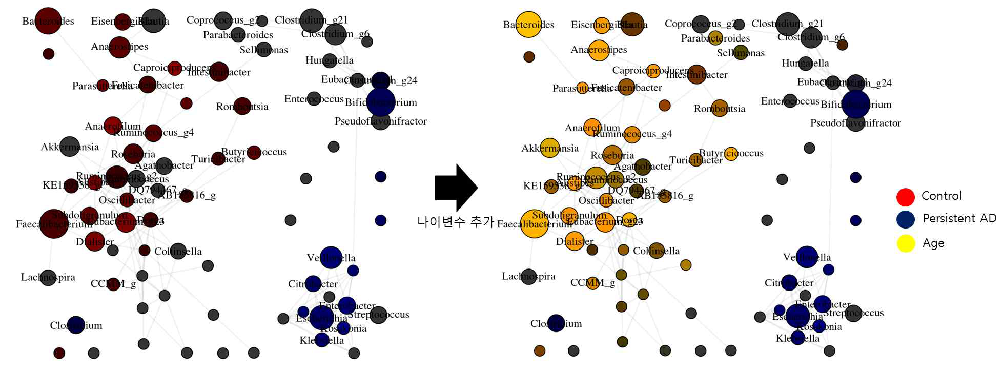 장 마이크로바이옴 상관관계를 통한 network analysis