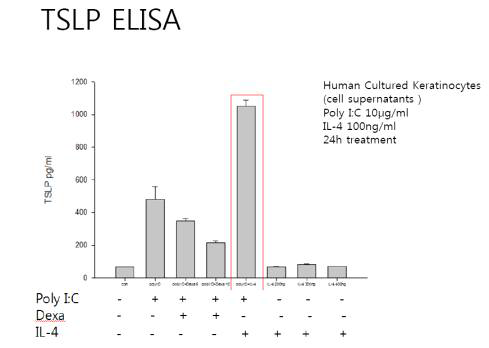 TSLP expression in human primary keratinocyte treated by polyI:C and IL-4