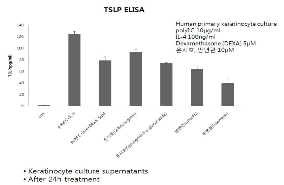 TSLP production in human primary keratinocyte culture