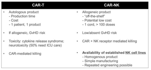 CAR-T 대비 CAR-NK 치료제의 장점