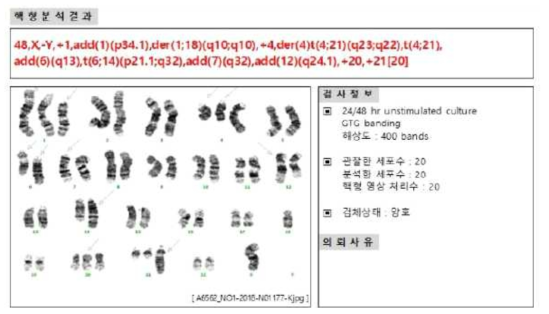 SL-K10 염색체 분석 결과