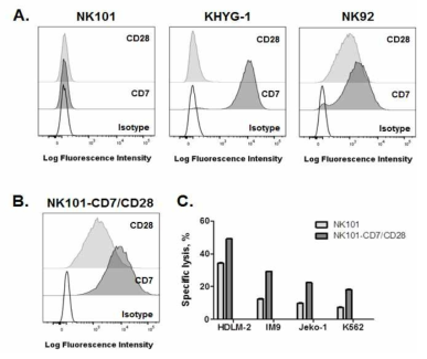 보조자극인자(CD7/CD28) 도입에 따른 NK101 살상능 증진 효과