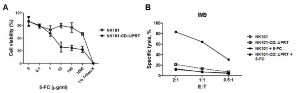 자살유전자(CD::UPRT) 도입에 따른 NK101 살상능 증진 효과