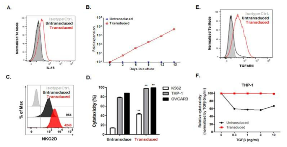 IL-15 및 DN TGFβRII 도입에 따른 NK101의 기능적 변화