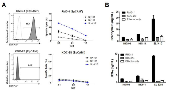 SL-K10 in vitro 암세포 살상능 및 사이토카인 분비능 평가
