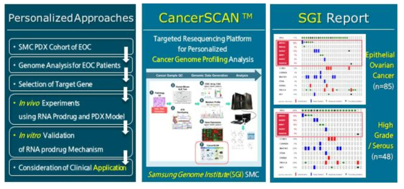 난소암 환자유래 검체의 CancerSCAN platform 기반의 유전체 분석 수행 과정