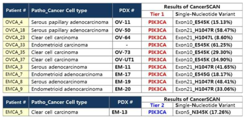 난소암과 자궁내막암 환자유래 검체에서 확인된 PIK3CA 유전자의 변이 양상