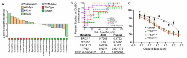 난치성 부인암에서 BRCA1/2와 TP53 유전자의 변이에 따른 PARP 억제제의 치료 효능