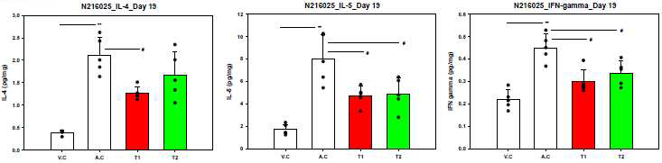 3차 ITI 시험 IL-4, IL-5 및 IFN-gamma 시험결과 (day 19)