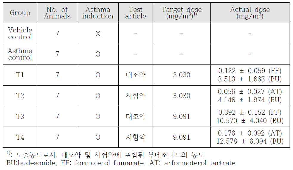 비부흡입효력시험 군 구성 및 투여용량