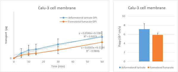 DPI 상태로 로딩하였을 때, Calu-3 cell에 대한 투과율 및 apparent permeability