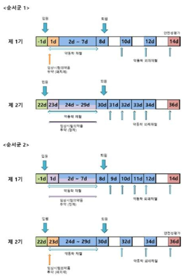 임상시험 모식도 (순서군 1)