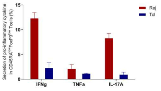 면역관용이 유도된 그룹과 유도되지 않은 그룹 내 조절 T세포의 염증성 사이토카인 분비 측정