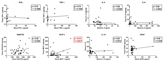 신장 조직과 혈장에서 측정한 사이토카인 / 케모카인 결과의 상관관계
