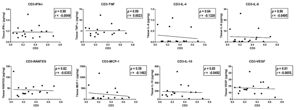 TissueFAXS로 분석한 신장 조직 내 CD3 양성 T 세포와 신장 조직 내 사이토카인 / 케모카인 발현과의 상관관계