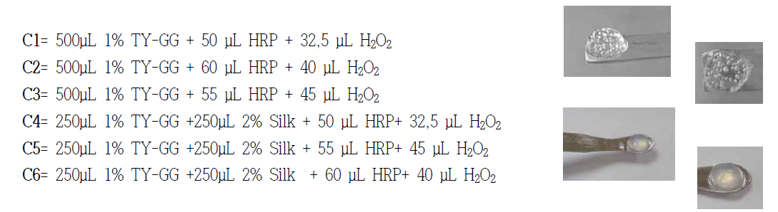 하이드로겔 그룹 및 이미지 (a) TY-GG hydrogel (C1-C3) 위 (b) Silk/TY-GG hydrogel (C4-C6) 아래