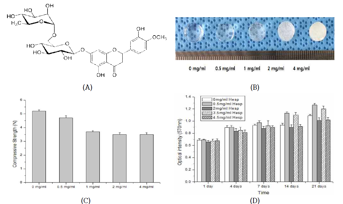 (A) 헤스피리딘의 화학식, (B) 제작한 젤란검/헤스피리딘 하이드로겔의 육안 분석, (C) 압축강도 평가 및 (D) MTT 분석을 통한 세포증식 관찰