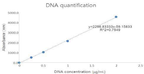 탈미네랄화된 오골계 뼈의 DNA quantification 분석