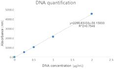 탈미네랄화된 오골계 뼈의 DNA quantification 분석
