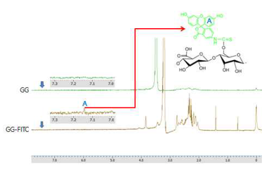 GG, GG-FITC 에 대한 NMR 그래프