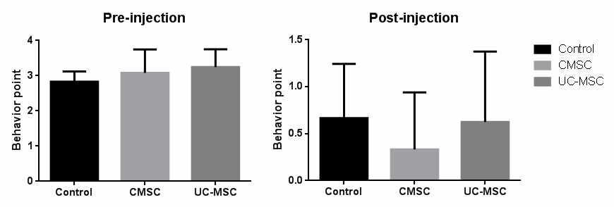 선조체 변성모델에 CMSCs와 UC-MSCs 줄기세포 주입 후 행동평가 결과