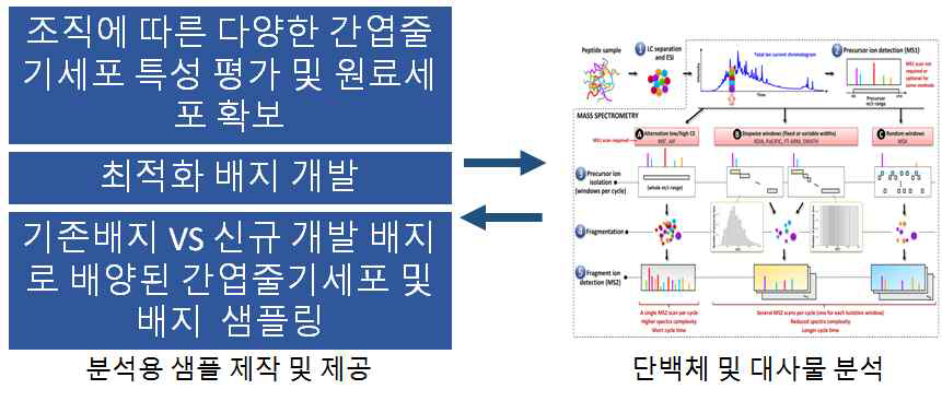 세부간 업무 분담 및 유기적 관계도