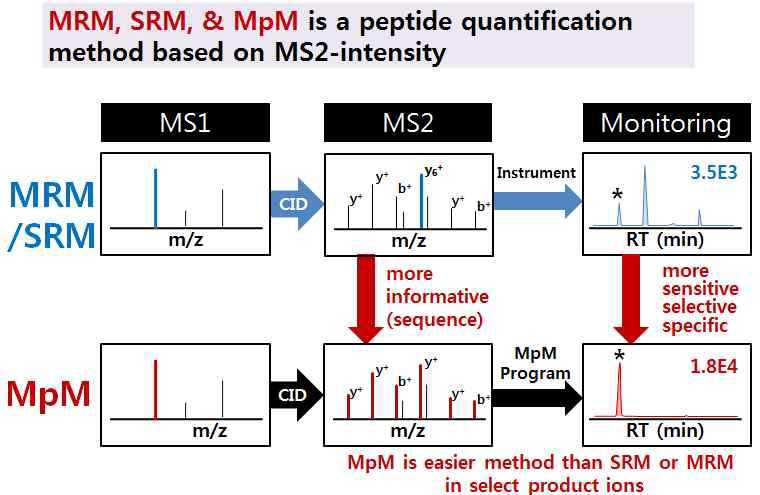 모니터링 기술을 위한 MRM과 MpM 방법의 비교 모식도