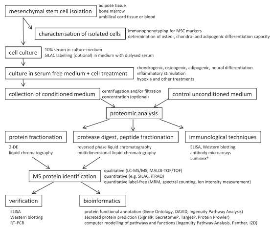 프로테오믹스를 적용한 MSC 줄기세포 배양액 분석 워크 플로우의 예 (Biochimie 2013)