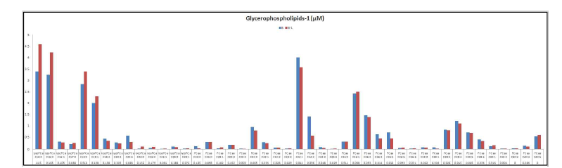 세포배양액 B와 B-1의 대사체(glycerophospholipids) 분석 결과의 예