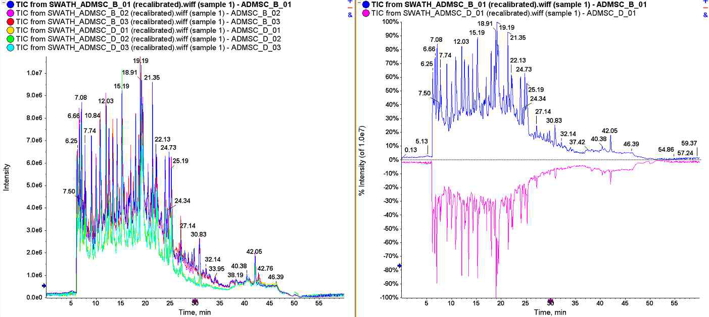 간엽줄기세포질액에 대한 SWATH-MS분석 크로마토그램 (왼쪽) TIC 크로마토그램 (오른쪽) 배지 B와 D에서 배양된 간엽줄기세포질액에 대한 거울상 TIC 크로마토그램 비교