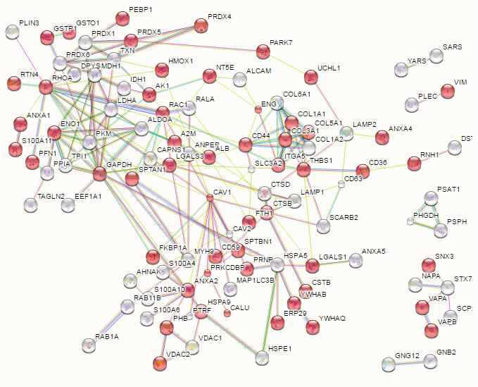 Gene Ontology 분석결과(GO:0048519): Negative regulation of biological process, 72개 단백질, FDR:7.14e-14