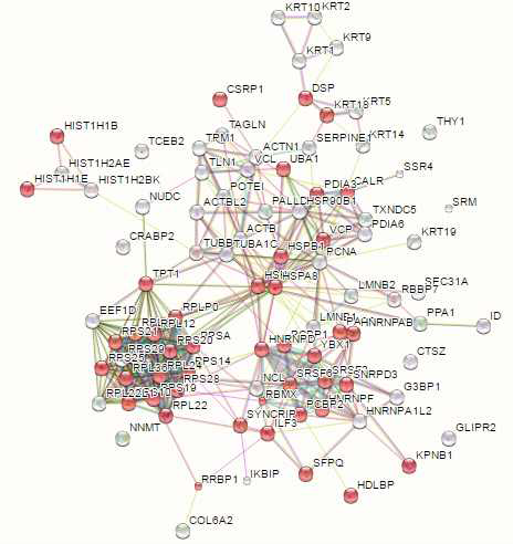 Gene Ontology 분석결과 (GO:0044822): Poly(A) RNA binding, 44개 단백질, FDR: 1.55e-27