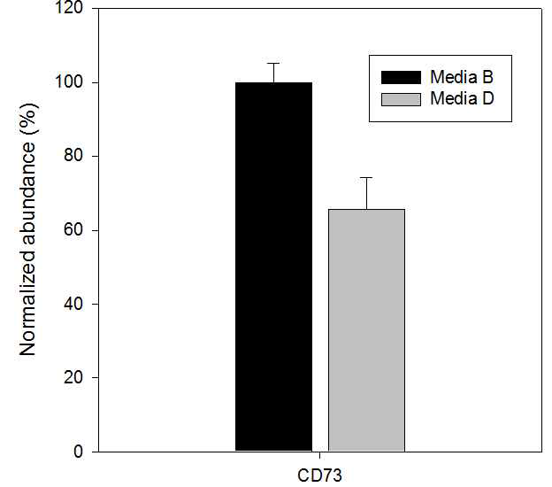 CD73의 발현량 비교 (배지 B vs D)