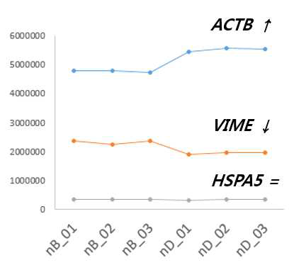 ACTB와 VIME의 상보적인 발현량 패턴 비교 (HSPA5는 발현량에 변화없는 단백질)
